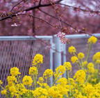 F20080401_03S
