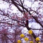 F20080401_05S