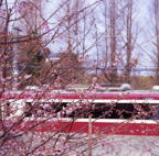 F20080401_06S