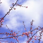 F20080401_08S
