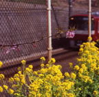 F20080402_02S