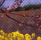 F20080402_05S