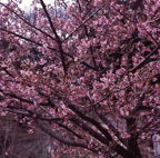 F20080402_12S