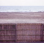 F20080501_08S