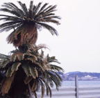 F20080502_03S