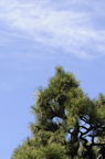 D2008025_015V
