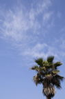 D2008028_027V