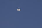 D2008030_040H