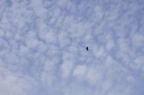 D2008031_012H