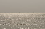D2008031_032H