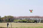D2008044_028H