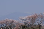 D2008044_029H