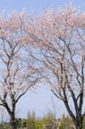 D2008044_036V
