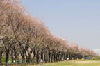 D2008044_048V