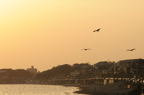 D2008046_072H