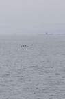 D2008047_068V