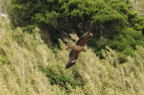 D2008047_078H