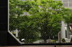 D2008052_017H