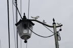 D2008053_008H