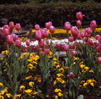 F20080602_03S