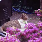 F20080602_04S