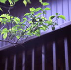 F20080701_11S