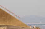 D2008054_101H