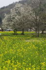 D2008056_002V