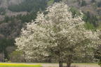 D2008056_006H