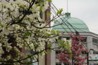 D2008059_058H