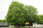 D2008060_001H
