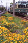 F20080801_07V