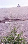 F20080802_26V