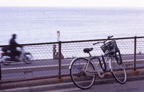 F20080802_37H