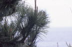 F20080803_07H
