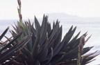 F20080803_12H