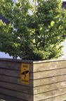 F20080803_21V