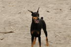 D2008061_013H
