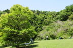 D2008063_001H
