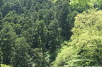 D2008063_005H