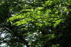 D2008063_050H