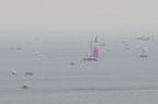 D2008065_113H