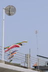 D2008065_125V
