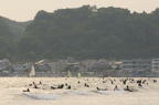 D2008065_206H