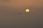 D2008065_242H