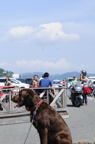 D2008066_057V