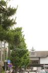 D2008068_012V