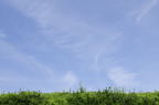D2008071_031H