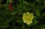 D2008074_018H
