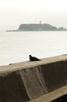 D2008075_048V